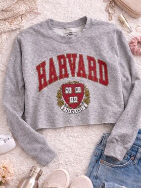 Harvard Cropped Sweatshirt Gray Crewneck Ivy League Graphic Size S